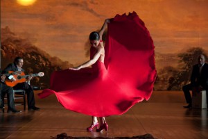flamenco_5life_7
